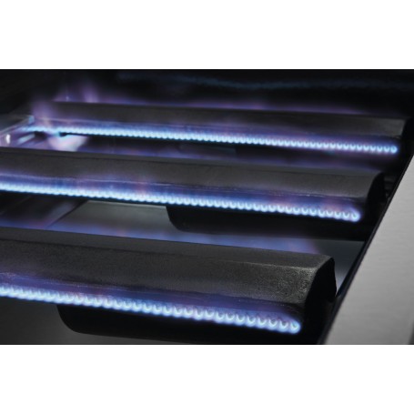 BARBACOA ENCASTRABLE DISCOVERY 1200E 3B fuego BARBACOA ENCASTRABLE DISCOVERY 1200E 3B fuego